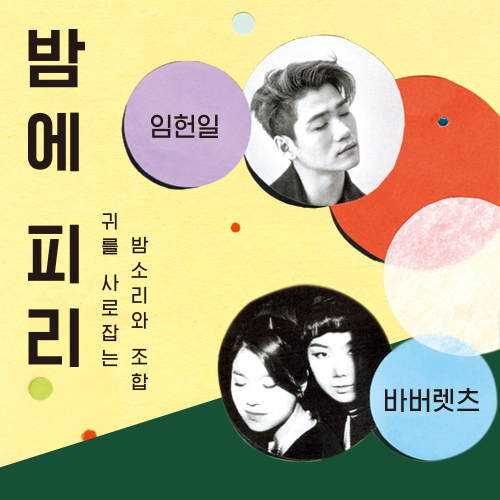  [세종문화회관] 꿈의숲아트센터 <밤에 피리 2019 : 임헌일, 바버렛츠> / 숲 속 공연장에서 펼쳐지는 이틀간의 대중음악 콘서트