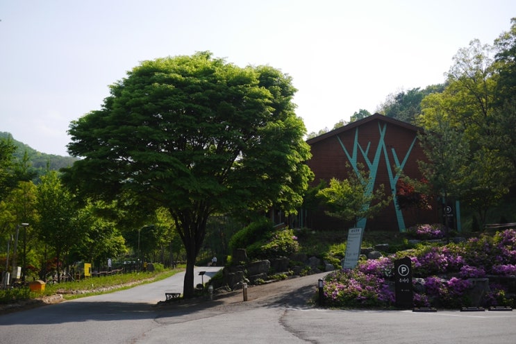  청주 가볼만한 곳, 국립 상당산성 자연휴양림 1/2