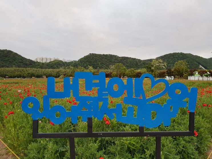  울산 태화강변 태화강지방정원 봄꽃축제 준비중 따뜻한 봄
