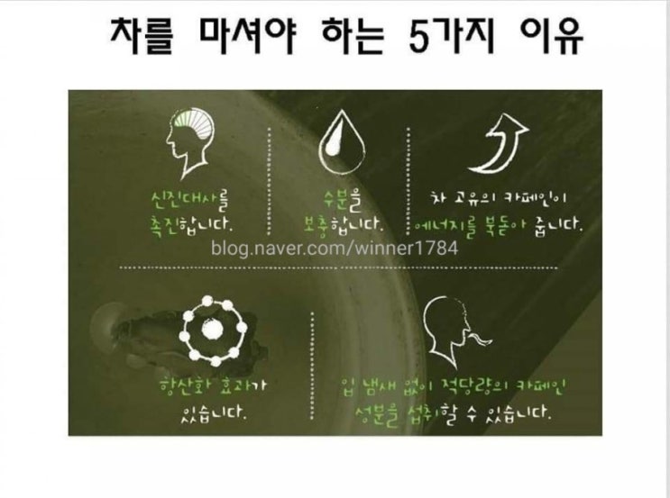  수분섭취 #다이어트