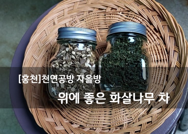 [홍천]천연공방 자올방 - 위에 좋은 화살나무, 홑잎 차 덖기