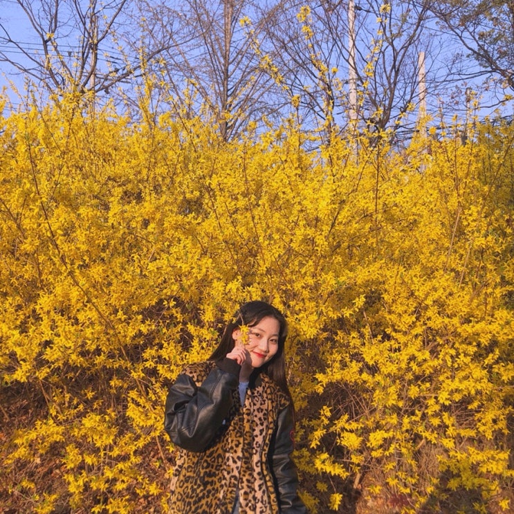  이채은의 굴러가는 Life