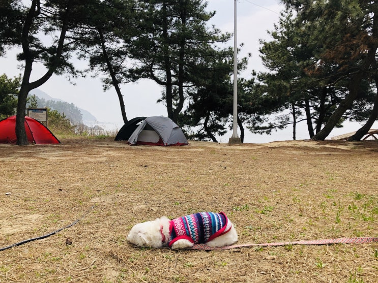  인천섬여행 소야도 백패킹