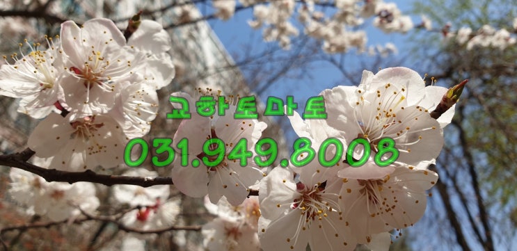  3기 신도시 발표 고양창릉.부천대장