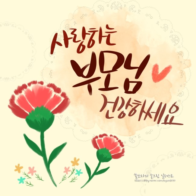 어버이날 캘리그라피 / 카네이션 일러스트 20190508 쏠쏘라