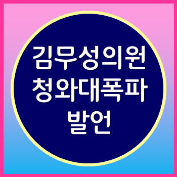  김무성 청원 내란죄 청와대 폭파 발언을 보며