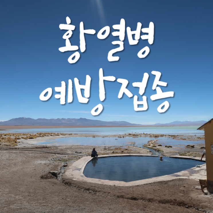  황열병 예방접종 | 볼리비아 비자 준비하기