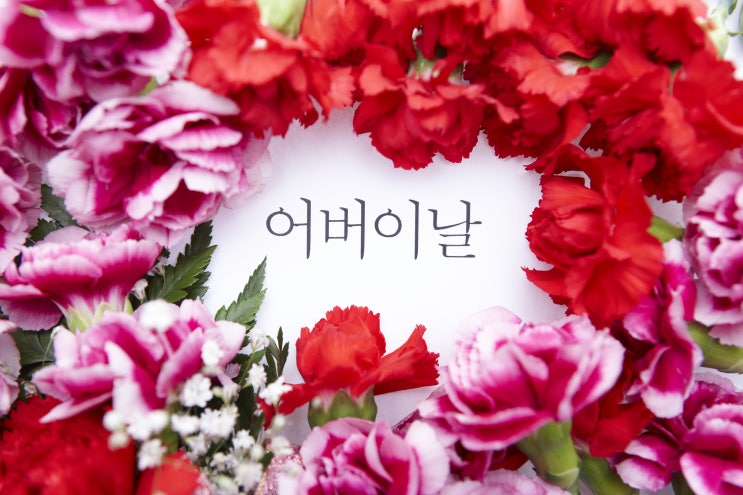  라임나무치과 오시면 5월8일 어버이날 카네이션드려요
