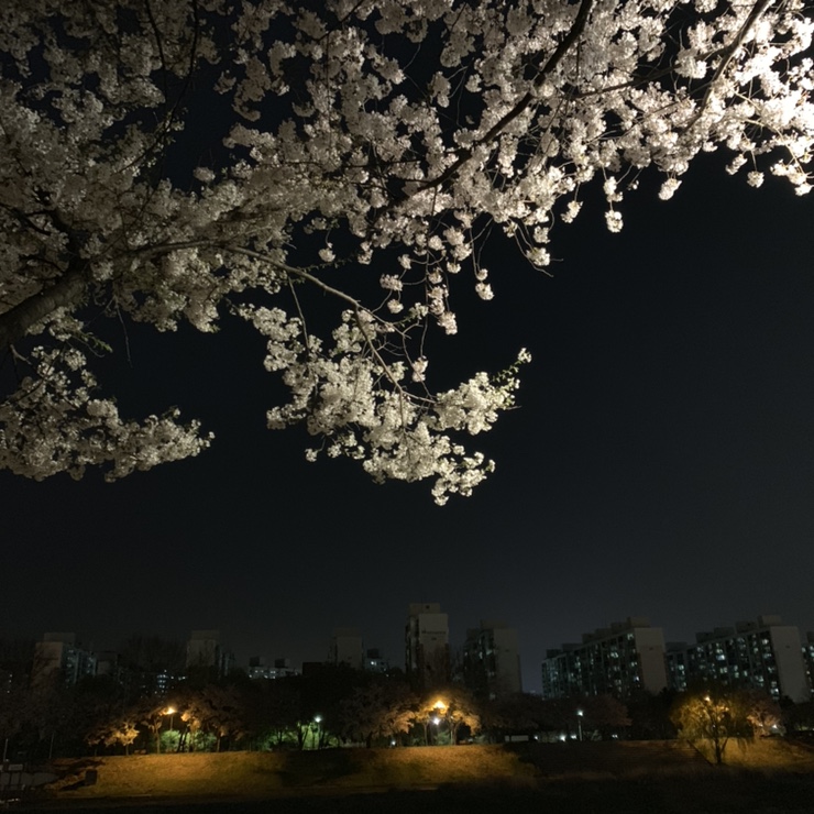  그러게