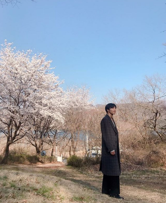  '나비잠' 김재욱, 벚꽃나무 아래서 그림 같은 비주얼 '女심 저격'