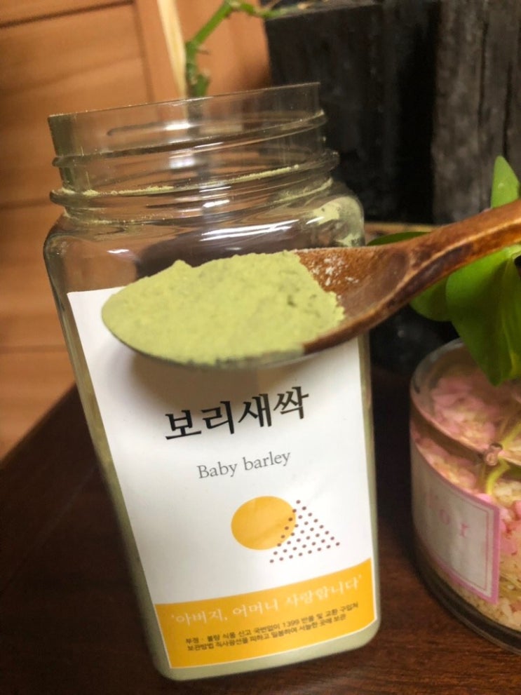  보리새싹다이어트 이렇게만 하면 성공