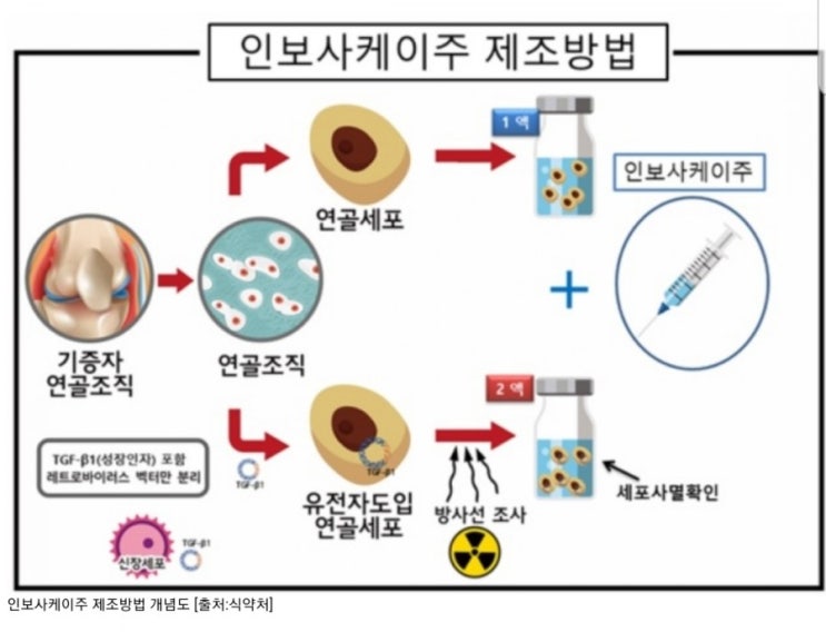  코오롱 티슈진 인보사사태