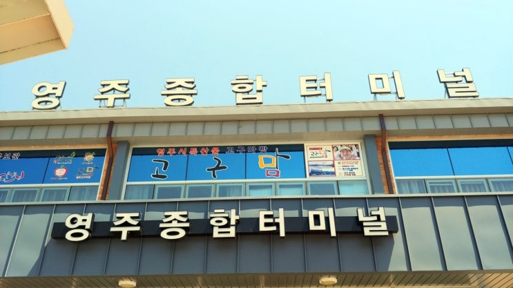 영주시외버스터미널(영주종합터미널) 시간표, 요금, 승차홈 정보-190503 영주시외버스터미널(영주종합터미널) 시간표, 요금, 승차홈 정보-190503