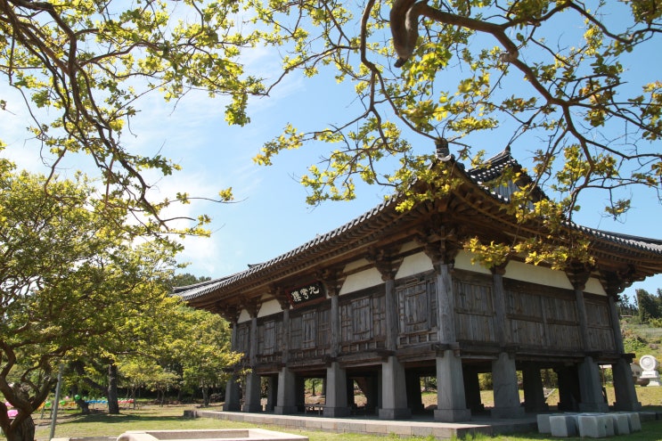  2019년 제주 부처님오신날 가볼만한곳 사찰 법화사