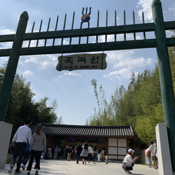  담양가볼만한곳 죽녹원 더운날에도 가기 좋아