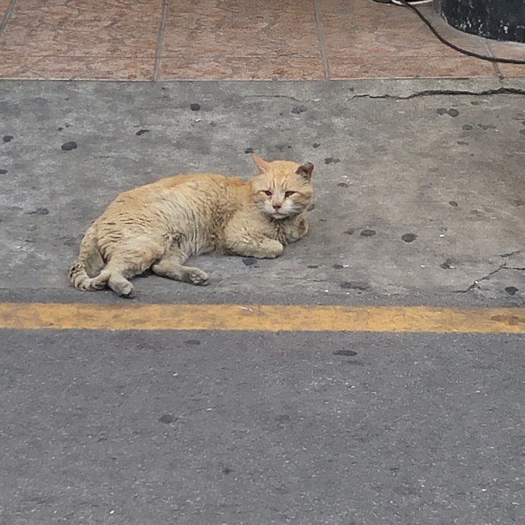  4월 셋째주: 별 거 없는 일상