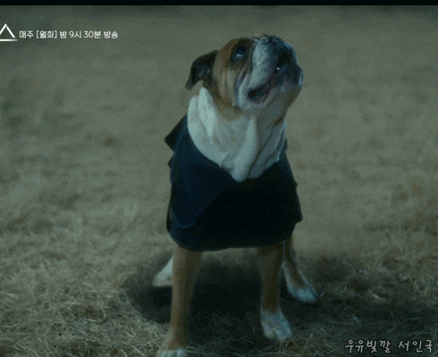  [190507][움짤] 서인국, tvN 드라마 '어비스' 1화 카메오 출연 움짤.gif