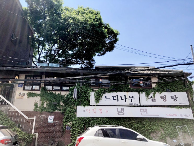 동대문 설렁탕 냉면 맛집, 느티나무
