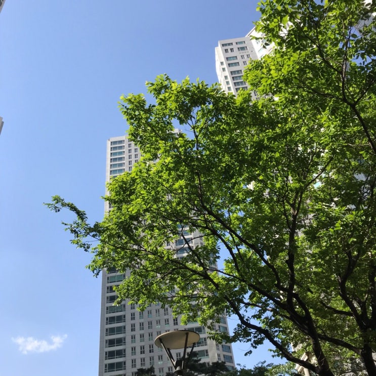  일상, 50