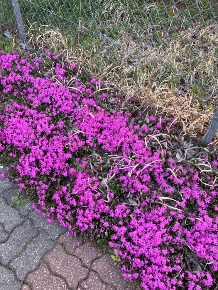  ~2019 04 30