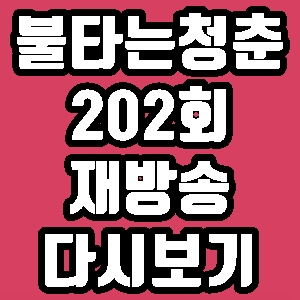 불타는청춘 김부용 최민용 참게장 202회 재방송 다시보기 방송시간 편성표