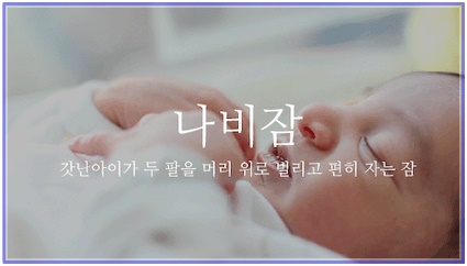  아름답고 이쁜 순수 우리말 - 나비잠