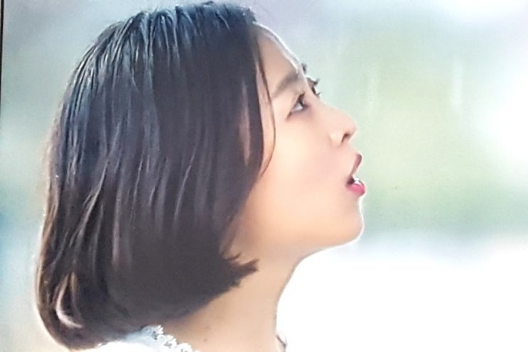  어비스 tvN 등장인물 관계도 박보영단발머리 김사랑머리 안효섭