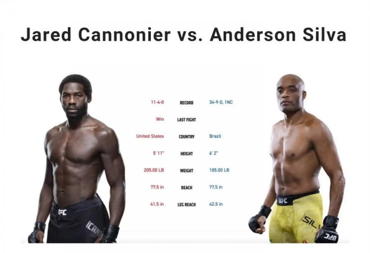 UFC 237 제라드 캐노니어 vs 앤더슨 실바 프리뷰!!!