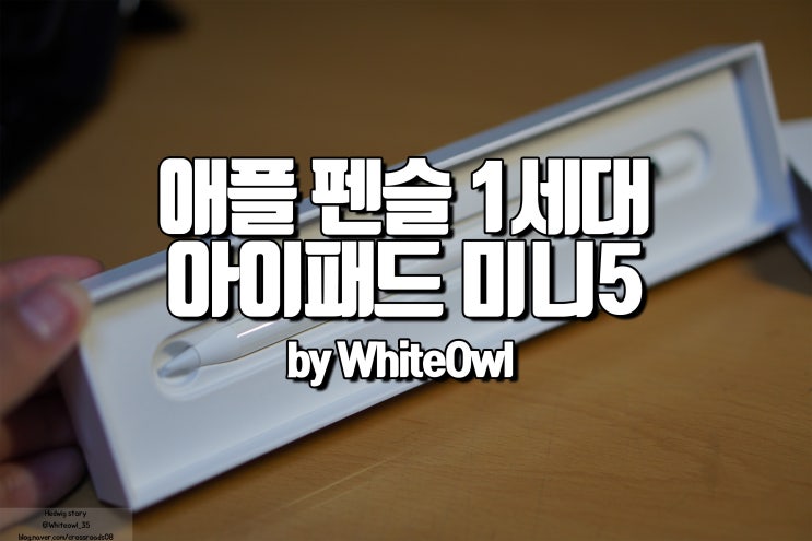  애플펜슬 1세대 교육할인 구입 후기 아이패드 미니 5세대에 꼭 필요한 아이템, 배터리 확인 하는 방법