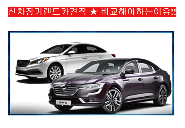  외제차장기렌트카 할인받자 