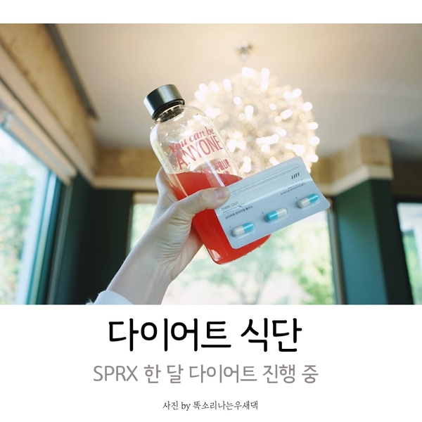  다이어트 식단 SPRX 잘 챙겨 먹고 있어요