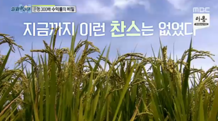  실화탐사대 돈이되는 쌀 폰지 다단계 사기