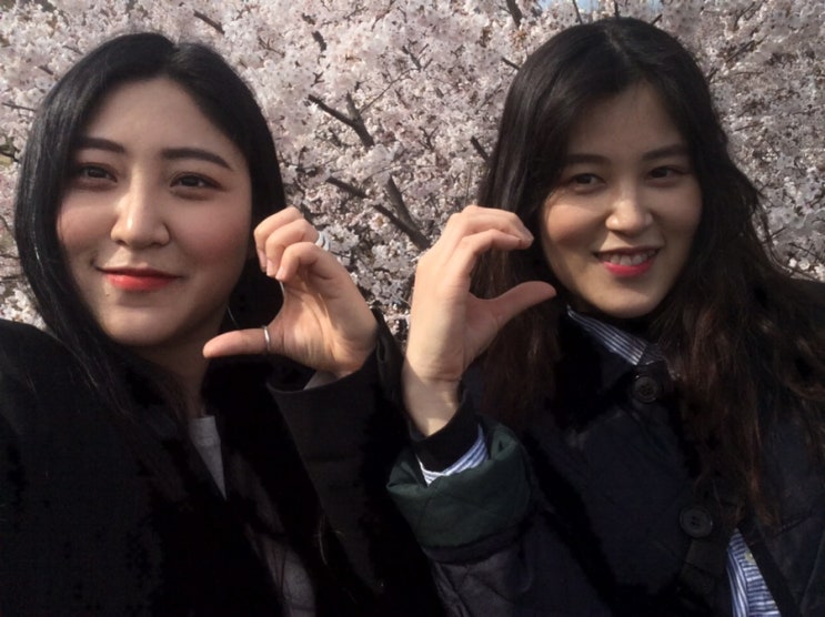  19.04_01 봄이라구요. 꽃이 피는