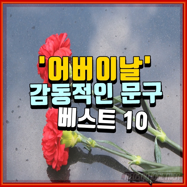 어버이날 감동적인 문구 베스트 10,  카네이션과 함께 보내세요.