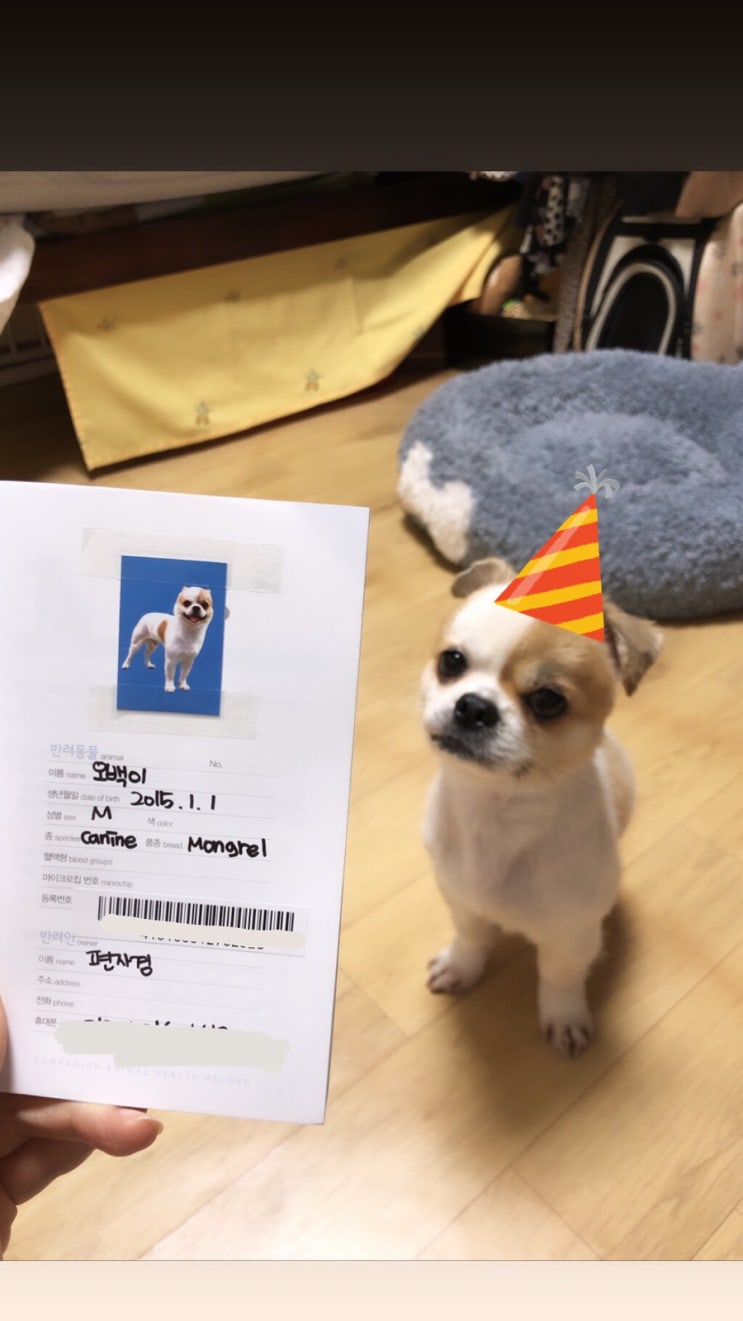  5월1일자부로 바뀐 동물중국 입국법 빡차