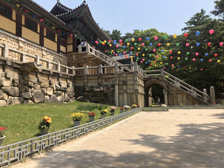  국내여행 :: 싱그러운 5월의 경주 불국사