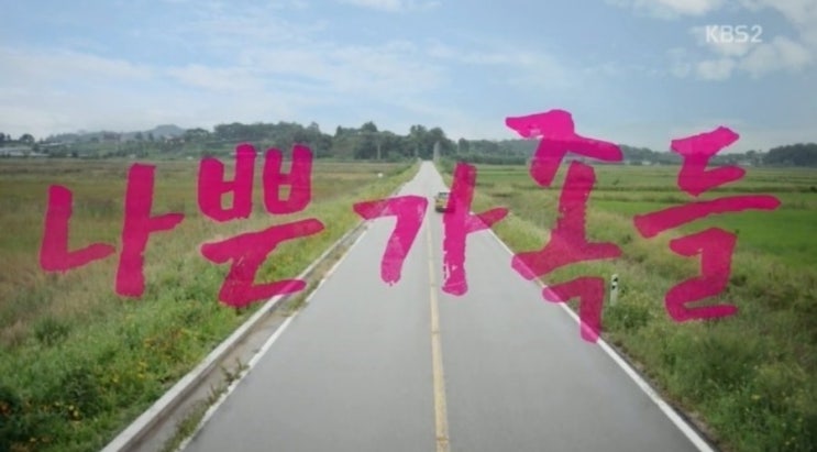  2017 KBS2 드라마 스페셜 나쁜 가족들