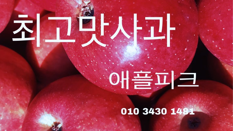  어버이날과 세계제일맛있는사과