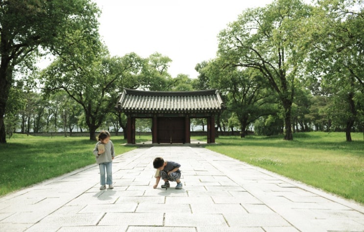  경주 가족여행[오릉]