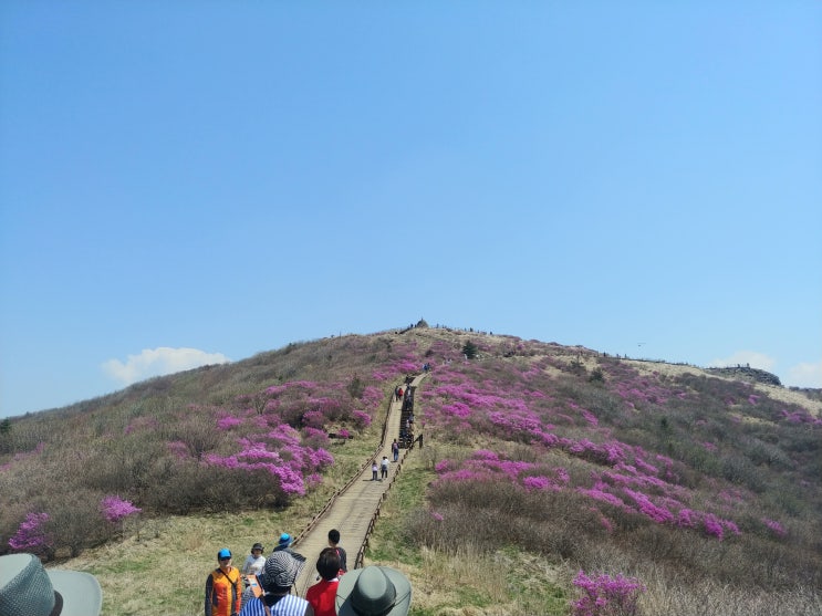  2019년 5월 연휴 가족여행, 지리산 노고단 탐방, 생태해설 프로그램
