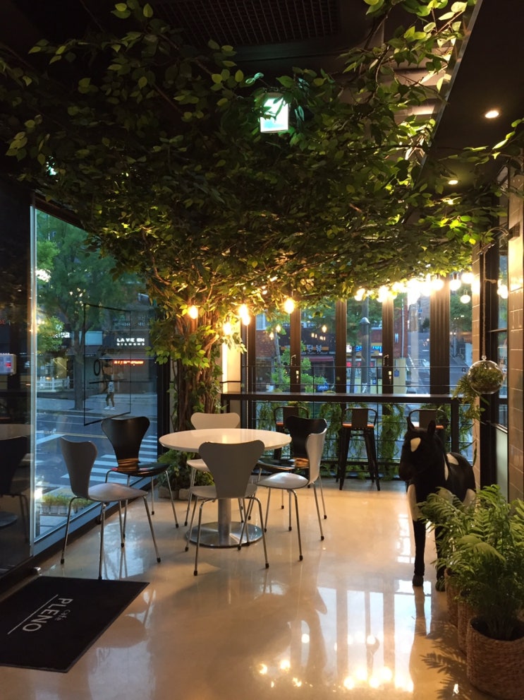  강남구청역 예쁜카페 :) 카페플레노