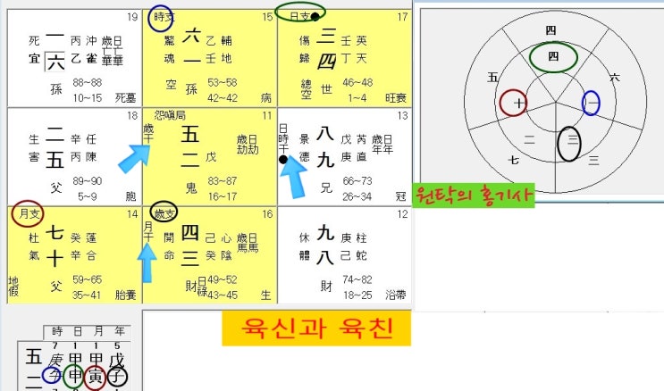  기문둔갑 홍국기문 육친론(六親論)