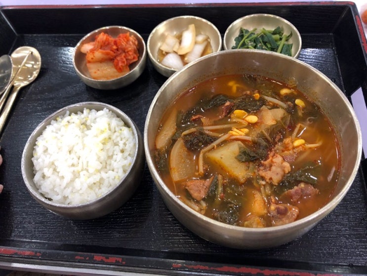  전지적 참견 시점&투어 시점