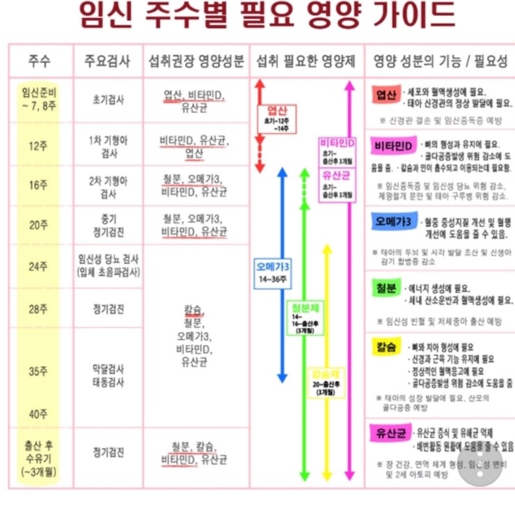  [임신] 임신중 영양제종류 복용시기와 방법
