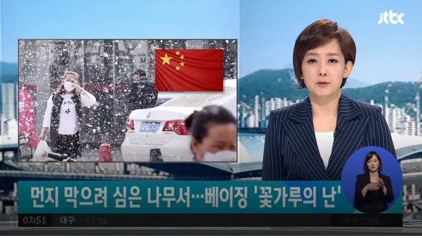  중국 미세먼지 황사 막으려다 꽃가루 폭탄 ! 황사 미세먼지에 이어 꽃가루 폭탄 조심하세요