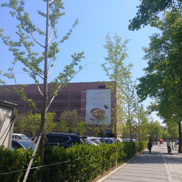  건 강 최 고