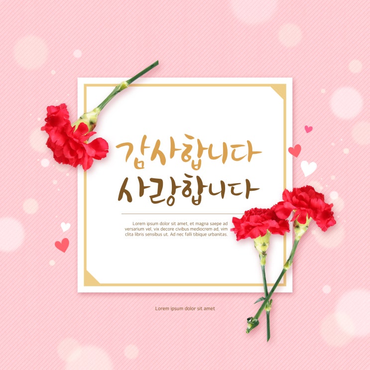  일상생활, 어버이날 감사문구를 보며 생각합니다.