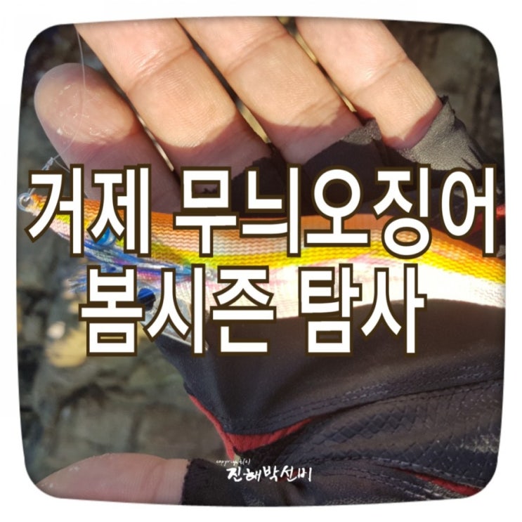  거제 무늬오징어 에깅 봄 시즌 탐사