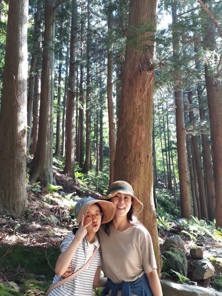  울릉도 + 독도 가족여행 (2019.5.3~5) with 개나소나 - 2일차