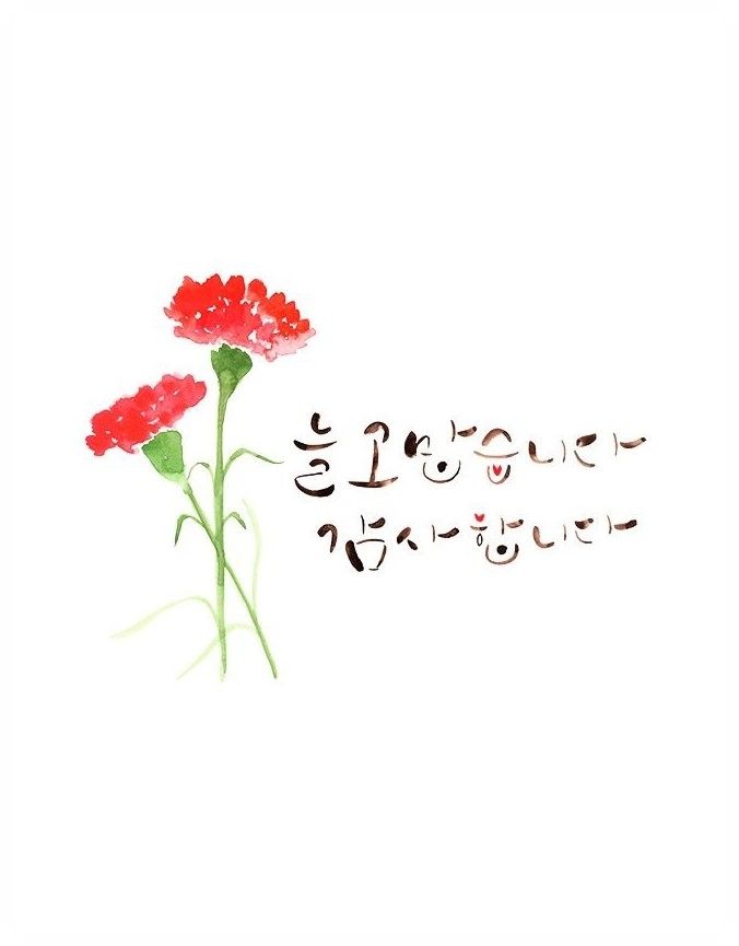  어버이날 문구 영어로 몇가지